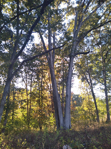 Banquet Hall «Quail Ridge Lodge», reviews and photos, 24 Columbine Ln, Wentzville, MO 63385, USA