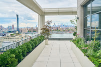 Birch and Basil Design - Photo 5 - Car repair in New York, NY, New York