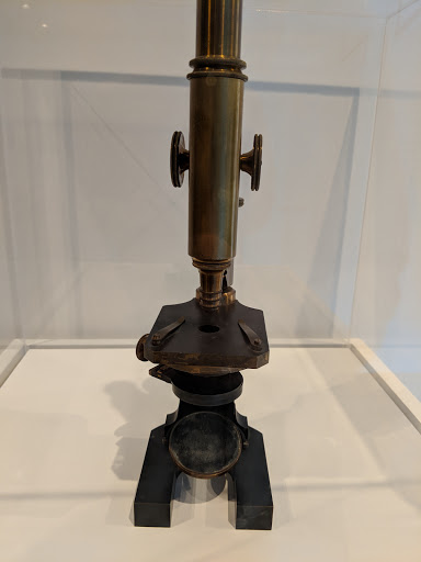 Art Gallery «Grey Art Gallery», reviews and photos, 100 Washington Square E, New York, NY 10003, USA