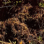 Photo n°3 de l'avis de Orange.a fait le 19/08/2018 à 13:00 sur le  Siegerland Hotel à Freudenberg