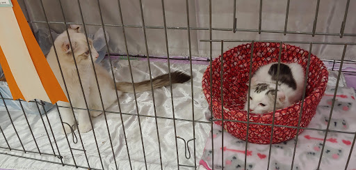 Community Center «Crystal Community Center», reviews and photos, 4800 Douglas Dr N, Minneapolis, MN 55429, USA