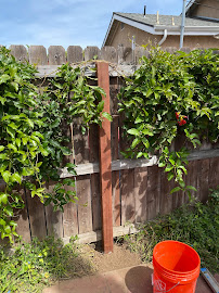 HPO Construction | Painting Homes | Small Construction Projects | Pasadena | San Gabriel Valley | Los Angeles County - Photo 3 - Car repair in Pasadena, CA, Pasadena