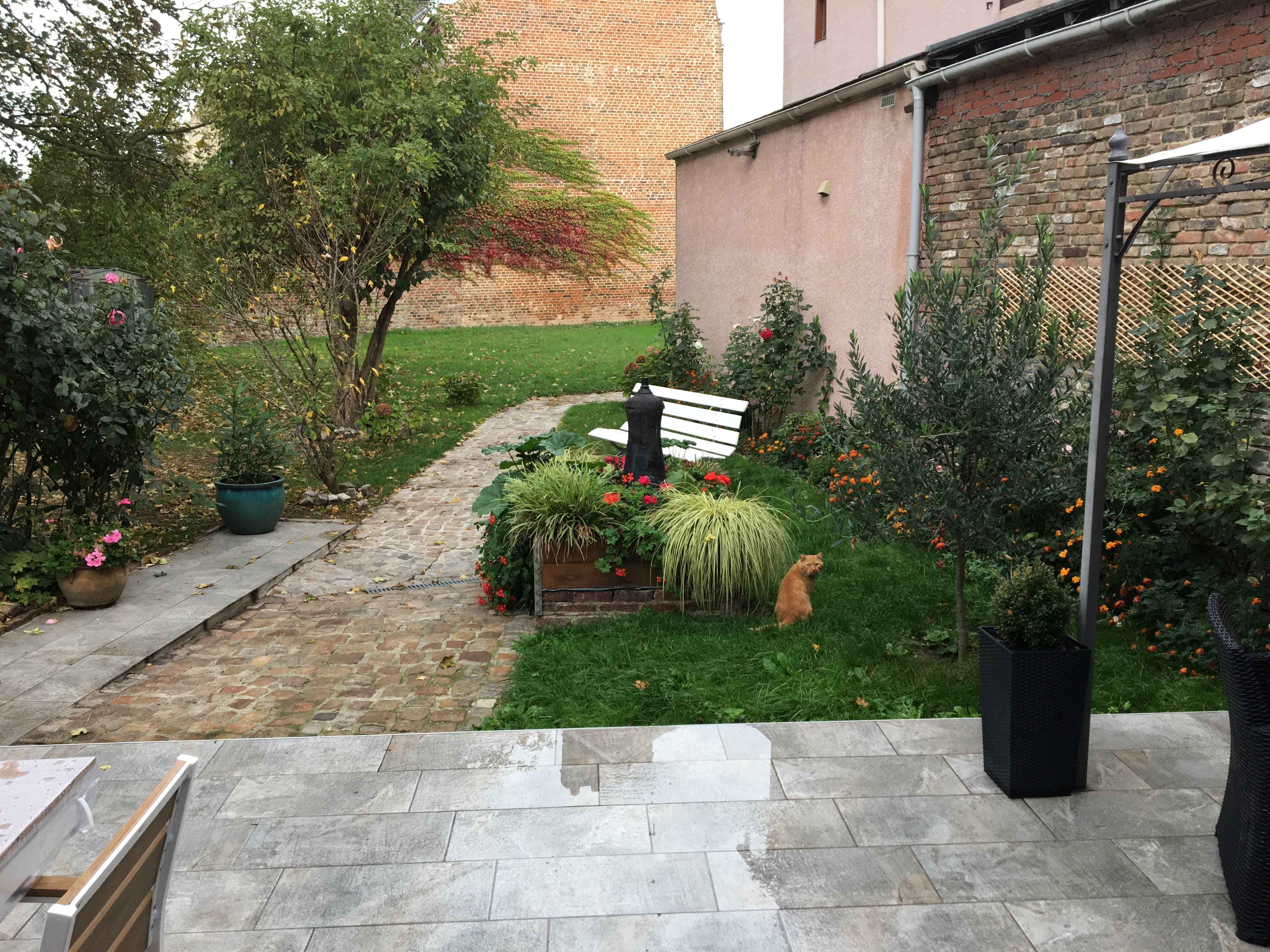 Photo n° 3 de l'avis de Paco.i fait le 17/10/2018 à 16:50