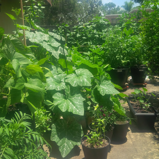 Root Grow Bloom Organic & Hydroponic Gardening Center