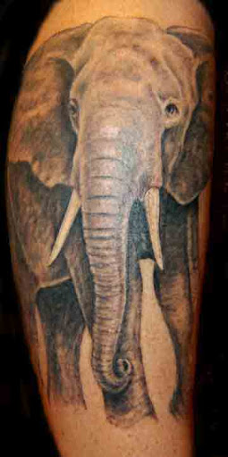 Explore 3 name tattoo ideas for guys, creative tattoo ideas in Asheville, available at Liquid Dragon Tattoo