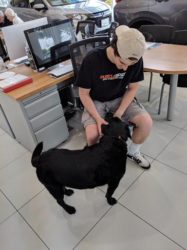 Honda Dealer «Saccucci Honda», reviews and photos, 1350 W Main Rd, Middletown, RI 02842, USA