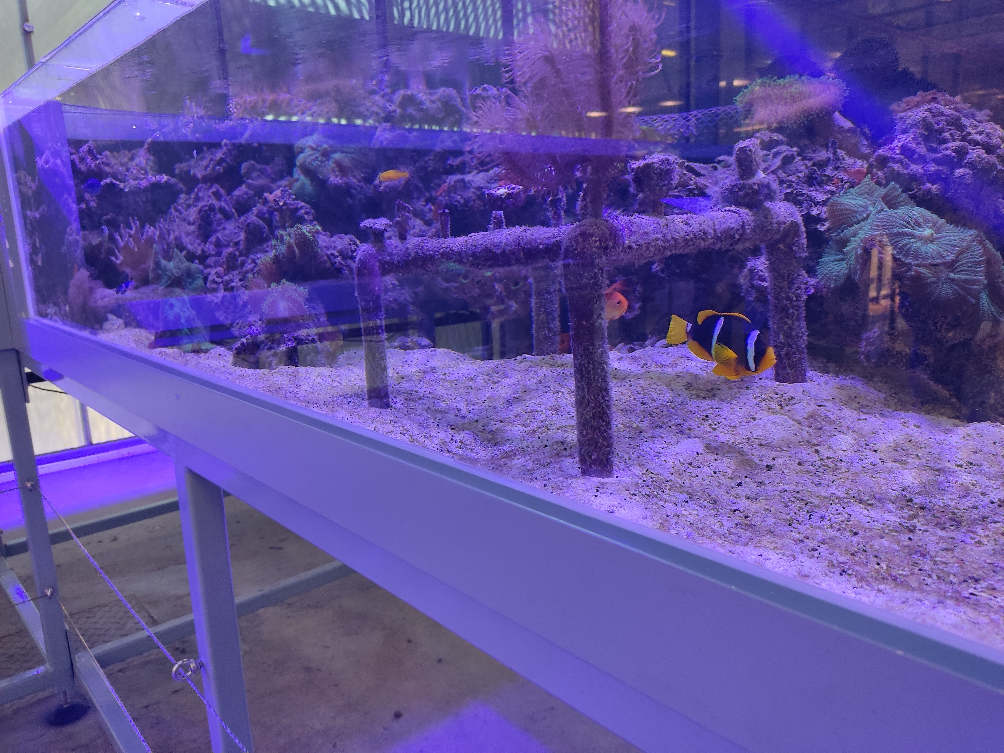 Photo n° 5 de l'avis de Clement.t fait le 08/12/2022 à 00:52