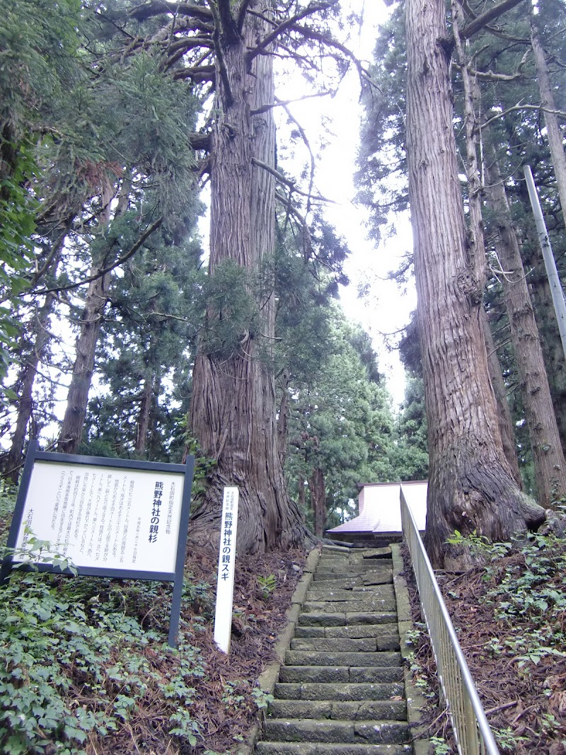 熊野神社の親杉