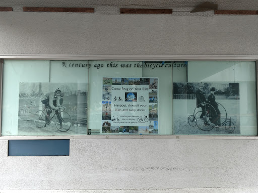 Museum «Houston Bicycle Museum», reviews and photos, 1313 Binz St, Houston, TX 77004, USA
