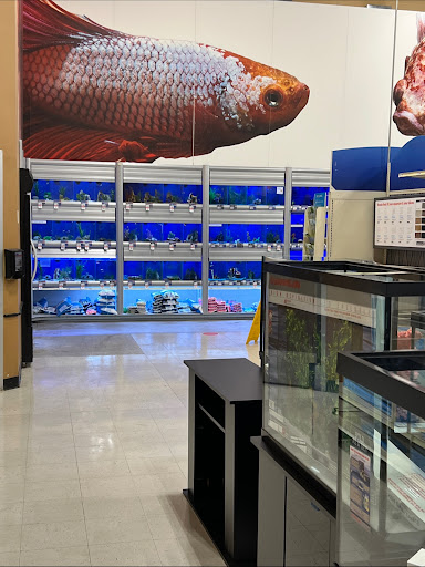 Pet Supply Store «PetSmart», reviews and photos, 1040 Cross Creek Dr, Saltillo, MS 38866, USA