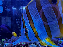 The Mystic Reef - Photo 5 - Car repair in Riverside, CA, Riverside