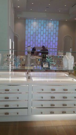 Jewelry Store «Kendra Scott», reviews and photos, 310 E Basse Rd #101, San Antonio, TX 78209, USA