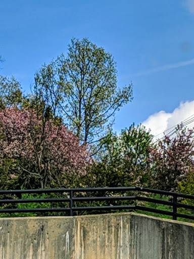 Shopping Mall «R.K. Centre», reviews and photos, 201 Boston Post Rd W, Marlborough, MA 01752, USA