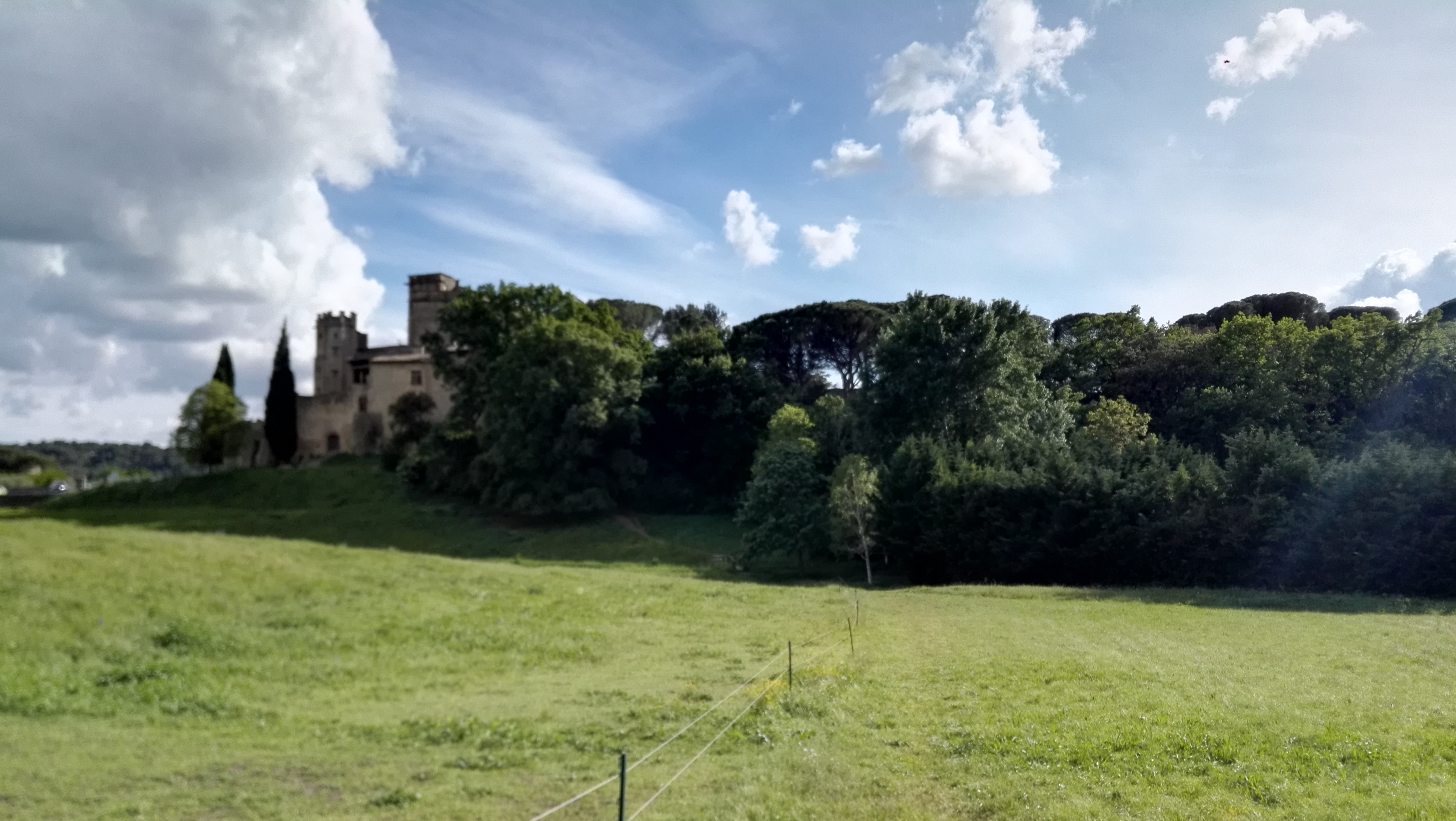 Photo n° 4 de l'avis de Caille. fait le 30/04/2018 à 22:18