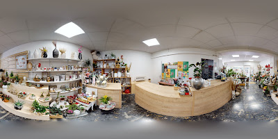 Eva Home à Châteaurenard