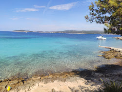 Mala Rina Beach'in fotoğrafı doğal alan içinde bulunmaktadır