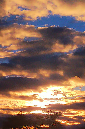 Self-Storage Facility «U-Store Self Storage», reviews and photos, 3860 Kenilworth Ave, Bladensburg, MD 20710, USA