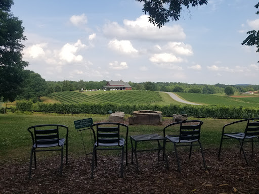 Winery «CeNita Vineyards, Winery & Tasting Room», reviews and photos, 591 Dock Dorsey Rd, Cleveland, GA 30528, USA