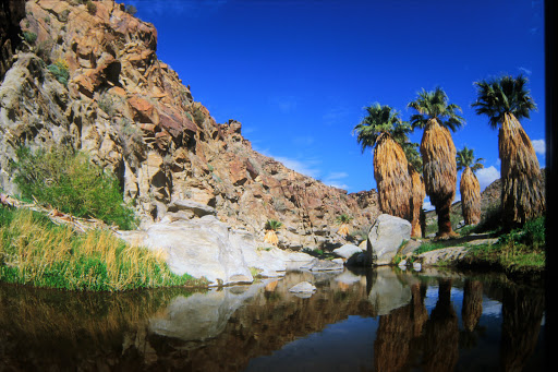 Tourist Attraction «Indian Canyons», reviews and photos, 38520 S Palm Canyon Dr, Palm Springs, CA 92264, USA