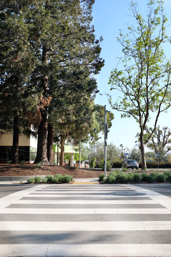 Coffee Shop «Coffee Lab», reviews and photos, 1345 Shorebird Way, Mountain View, CA 94043, USA