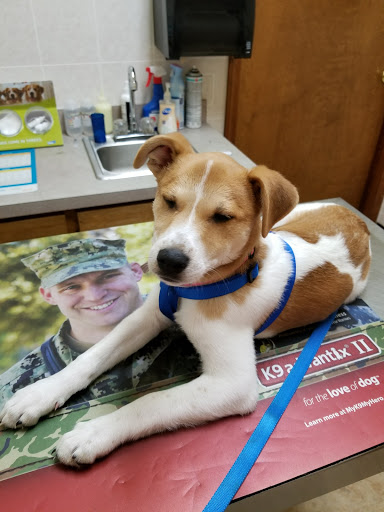 Guignard Animal Clinic image