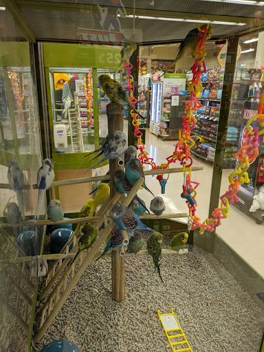 Pet Supply Store «Petco Animal Supplies», reviews and photos, 205 Washington St #11, Hudson, MA 01749, USA