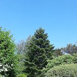 Photo n°5 de l'avis de Irmi.o fait le 23/06/2020 à 15:17 sur le  Café Zuckerkuss à Ummanz