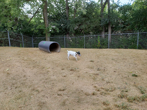 Humane Society Of Greater Dayton Adoption Center image 3