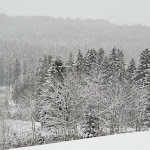 Photo n°1 de l'avis de Bernd.o fait le 10/12/2021 à 20:11 sur le  Hotel Tannhof à Feldberg