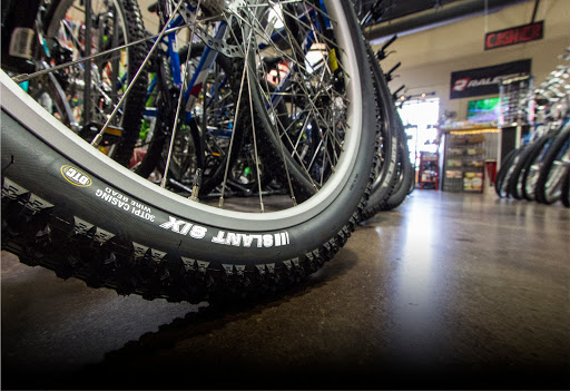 Bicycle Store «Global Bikes - Chandler North», reviews and photos, 2915 W Ray Rd, Chandler, AZ 85224, USA