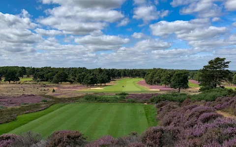 Hankley Common Golf Club image