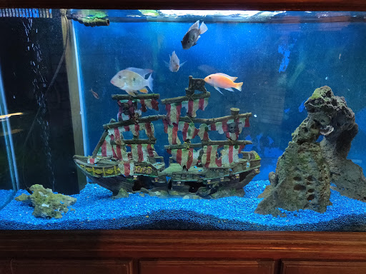 Tropical Fish Store «Petworld», reviews and photos, 2700 Carson St, Haltom City, TX 76117, USA