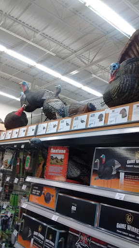 Sporting Goods Store «Academy Sports + Outdoors», reviews and photos, 120 Woody Jones Blvd, Florence, SC 29501, USA