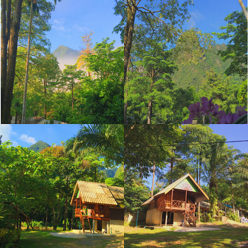 Khao Sok Safari Resort
