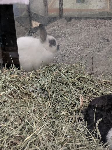 Pet Supply Store «Pet Valu», reviews and photos, 541 S Breiel Blvd, Middletown, OH 45044, USA