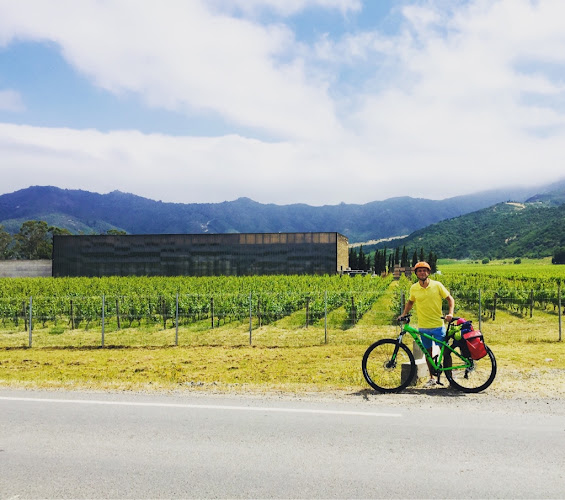 Opiniones de Vinomado Wine Tours en Santa Cruz - Agencia de viajes