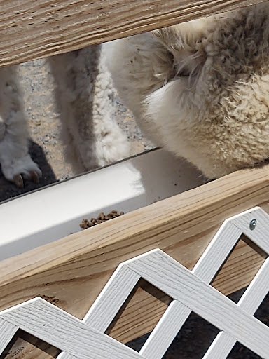 Gift Shop «Hidden Spring Lavender Farm and Gift Shoppe», reviews and photos, 890 Belle Mead-Blawenburg Rd, Skillman, NJ 08558, USA