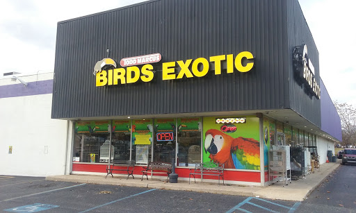 Todd Marcus Birds Exotic