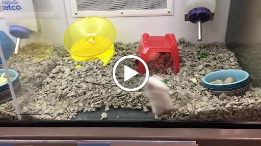 Pet Supply Store «Petco Animal Supplies», reviews and photos, 1391 NJ-35, Middletown, NJ 07748, USA