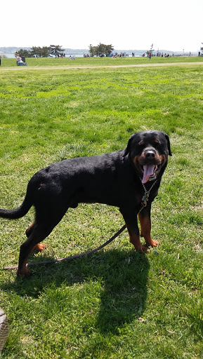 Park «Long Bridge Park», reviews and photos, 475 Long Bridge Drive, Arlington, VA 22202, USA