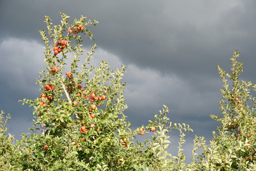 State Park «Monmouth Battlefield State Park», reviews and photos, 16 Business Route 33, Manalapan Township, NJ 07726, USA