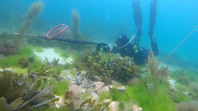 Bretagne Passion Sous-Marine
