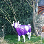 Photo n°12 de l'avis de ALBERTO.O fait le 13/01/2020 à 09:30 sur le  Il Bacco Toscano à Sesto ed Uniti