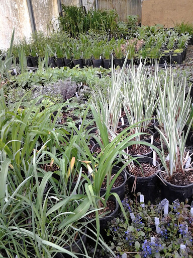 Tourist Attraction «NatureScaping Wildlife Botanical Gardens», reviews and photos, 11000 NE 149th St, Brush Prairie, WA 98606, USA