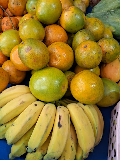 Logo da empresa - Quitanda Tutti Frutti