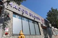 Major Bloom | Worcester Cannabis Dispensary - Car repair in Worcester, MA, Worcester - Rated 4.9/5