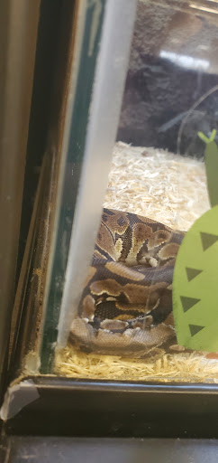 Pet Supply Store «Petco Animal Supplies», reviews and photos, 5717 Plank Rd, Fredericksburg, VA 22407, USA