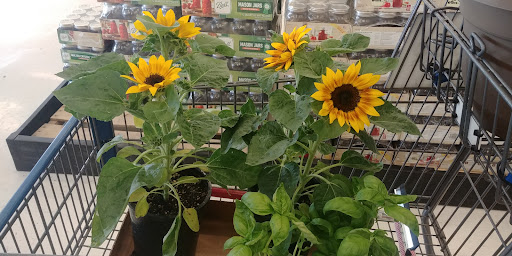 Animal Feed Store «Wilco Farm Store», reviews and photos, 200 S Kelso Dr, Kelso, WA 98626, USA