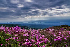 Hwangmaesan County Park image