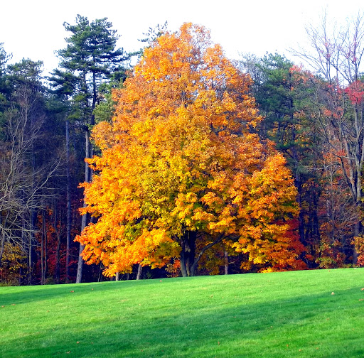 National Park «Cuyahoga Valley National Park», reviews and photos